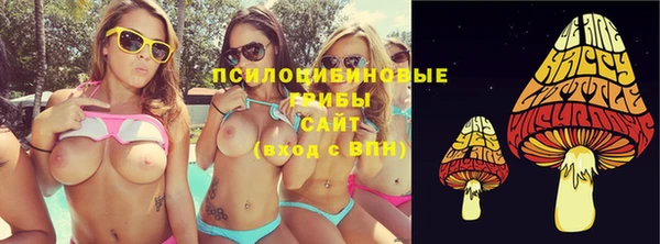 ALPHA-PVP Дмитриев