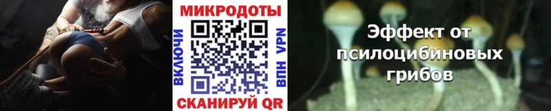 Купить  Навашино  Галлюциногенные грибы Psilocybine cubensis 